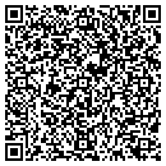 QR-код с контактной информацией организации ИП Рожкова С.Г.