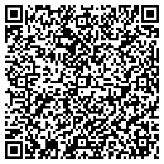 QR-код с контактной информацией организации ООО Альфа