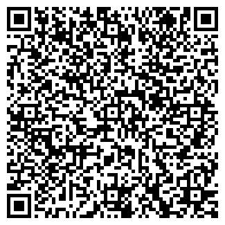 QR-код с контактной информацией организации "Чип и Дейл"