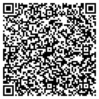 QR-код с контактной информацией организации Персона