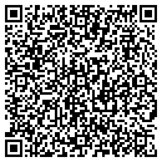 QR-код с контактной информацией организации Визит