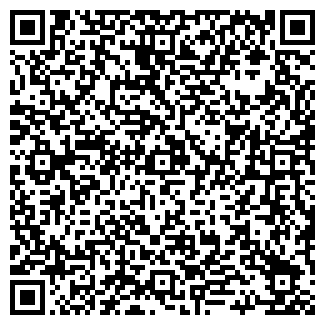 QR-код с контактной информацией организации D.Vero