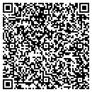 QR-код с контактной информацией организации Шторберри