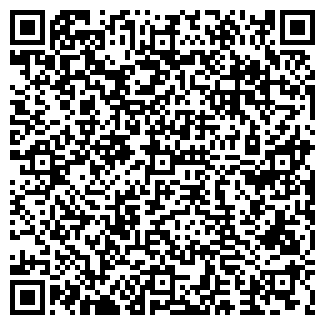 QR-код с контактной информацией организации ЛИКО