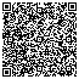 QR-код с контактной информацией организации ЧАЙНА ТАУН