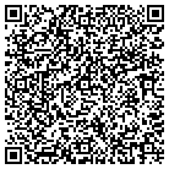 QR-код с контактной информацией организации ИП Мамедалин С.В.
