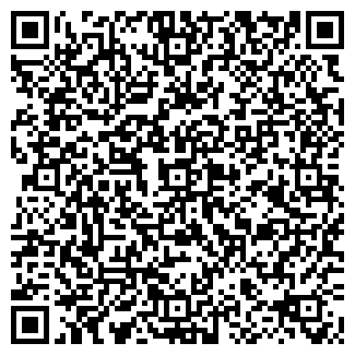 QR-код с контактной информацией организации ИП Сомов И.Ю.