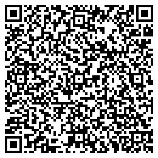 QR-код с контактной информацией организации ИП Мишкина Н.А.