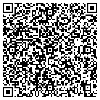QR-код с контактной информацией организации Виза Люкс
