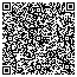 QR-код с контактной информацией организации Автомойка на Пластунской, 92
