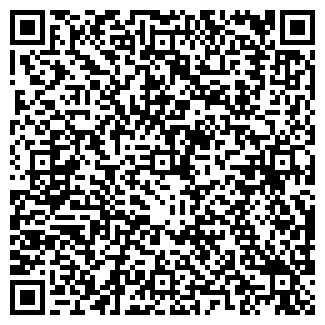 QR-код с контактной информацией организации Автомойка на Вишневой, 16