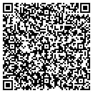 QR-код с контактной информацией организации Novauto