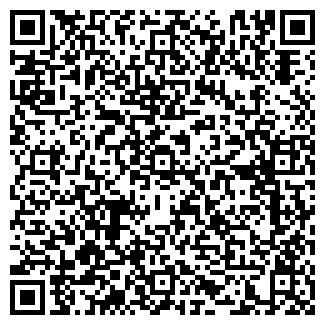 QR-код с контактной информацией организации Кафе от Василисы