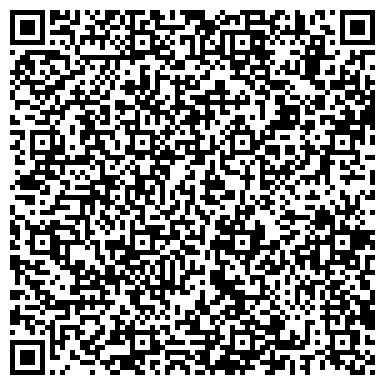 QR-код с контактной информацией организации Чёрный кот, сеть магазинов бытовой химии и парфюмерии, Офис