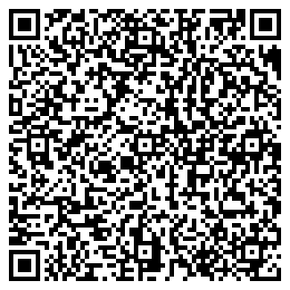 QR-код с контактной информацией организации ИП Саянин И.В.