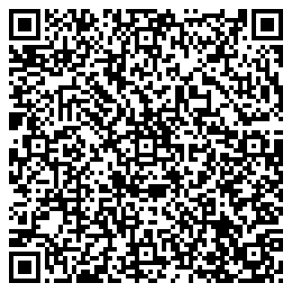 QR-код с контактной информацией организации ООО Адего