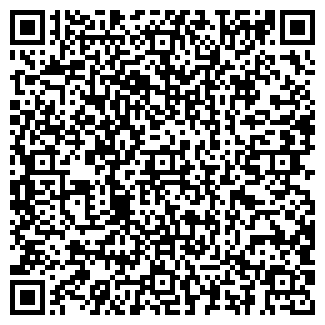 QR-код с контактной информацией организации ИП Дружинин А.С.