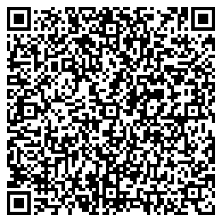 QR-код с контактной информацией организации Алеко