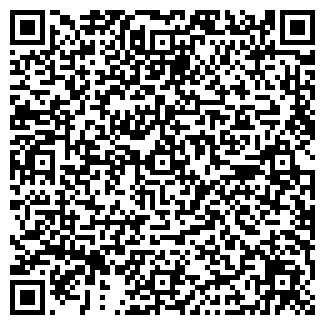 QR-код с контактной информацией организации Шайба