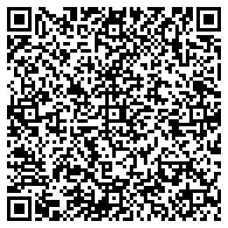 QR-код с контактной информацией организации Элина