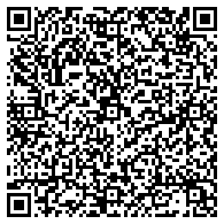 QR-код с контактной информацией организации ИП Сетиков С.А.