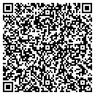 QR-код с контактной информацией организации ИП Романова Н.И.