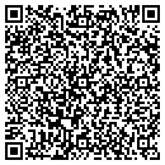 QR-код с контактной информацией организации Магазин радиодеталей