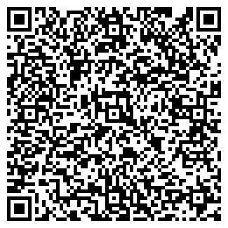 QR-код с контактной информацией организации ООО «Хим Групп»