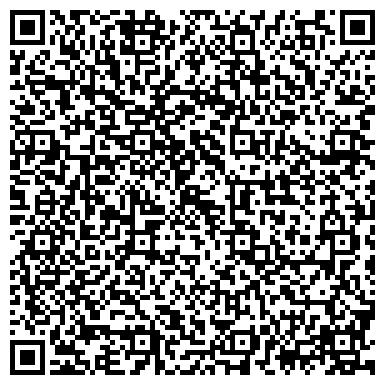 QR-код с контактной информацией организации Петрозаводская детская школа искусств им. М.А. Балакирева