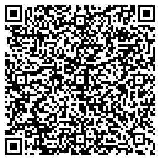 QR-код с контактной информацией организации Жираф