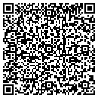 QR-код с контактной информацией организации Былина