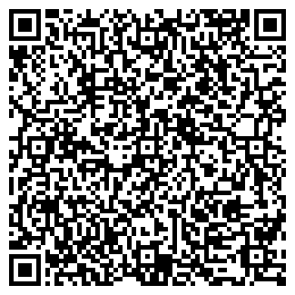 QR-код с контактной информацией организации ИП Шипунов В.В.