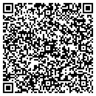 QR-код с контактной информацией организации Ёлочка, кафе-бар