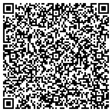 QR-код с контактной информацией организации Шаровая молния