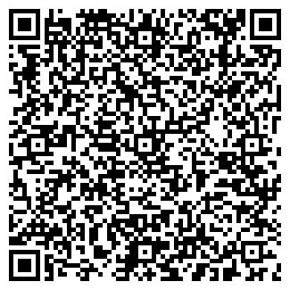 QR-код с контактной информацией организации ШКОЛА ИСКУССТВ