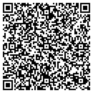 QR-код с контактной информацией организации Блин лайн, кафе, ООО Декабрь
