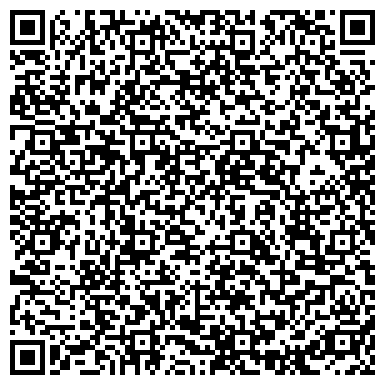 QR-код с контактной информацией организации Детский сад №196, Подснежник, комбинированного вида