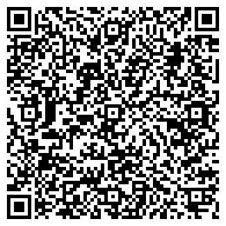 QR-код с контактной информацией организации ООО ИГРУШКА