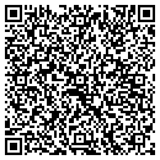 QR-код с контактной информацией организации Багира