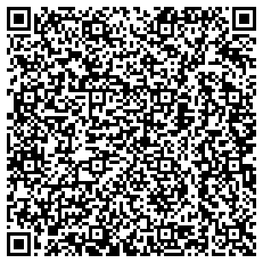 QR-код с контактной информацией организации Шаровая молния