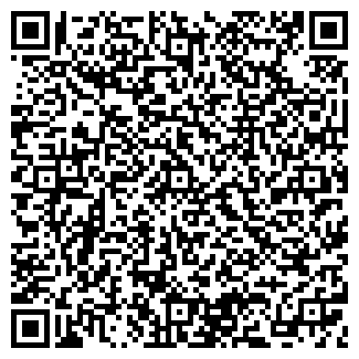 QR-код с контактной информацией организации Диоланд, магазин, ООО Остров