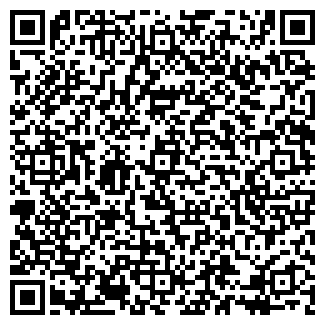 QR-код с контактной информацией организации Ibiza