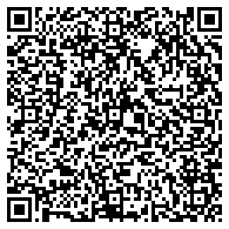 QR-код с контактной информацией организации Pit stop