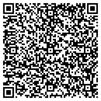 QR-код с контактной информацией организации Тульский школьный портал