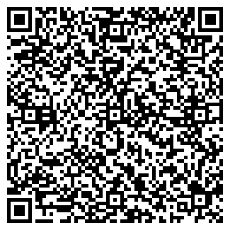 QR-код с контактной информацией организации Тула Web