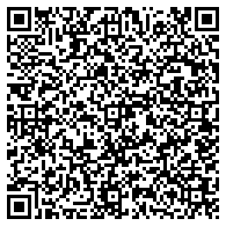 QR-код с контактной информацией организации QIWI