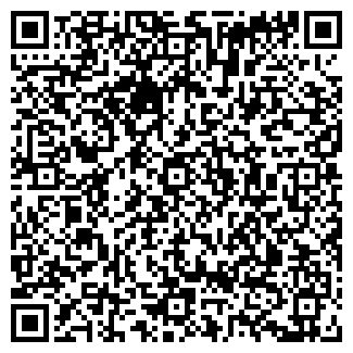 QR-код с контактной информацией организации Шишка