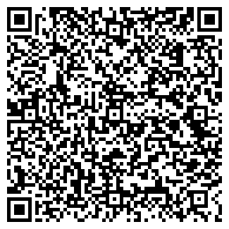 QR-код с контактной информацией организации ТракДизельСервис