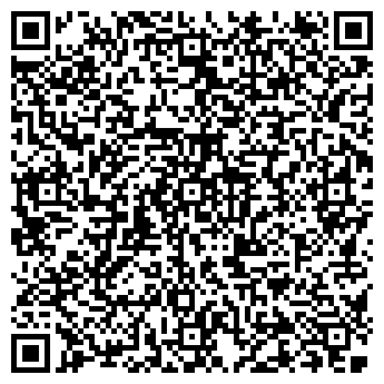 QR-код с контактной информацией организации Дом сайтов