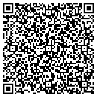 QR-код с контактной информацией организации ИП Ахмедов Р.А.